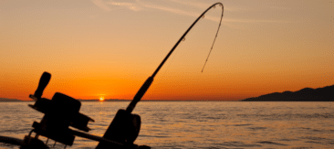 Big Game Fishing
