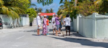 Local Island Discovery