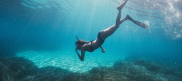 Snorkelling Safari