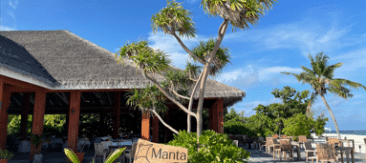 manata 1