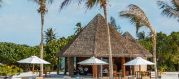 Brennia Kottefaru Beach Bar (1)